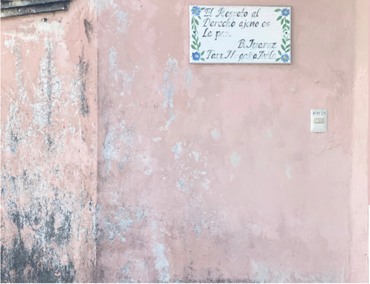 Dusty Iguanas & Peeling Stucco Walls - Isla Mujeres