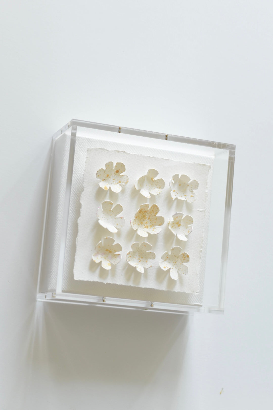 Whiskers on Kittens 6x6