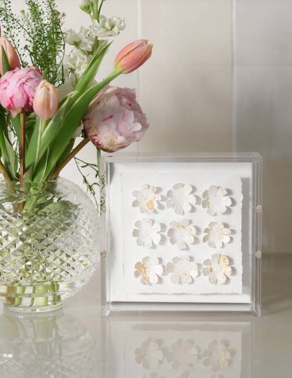 Whiskers on Kittens 6x6