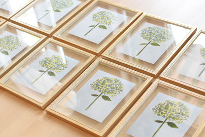 Hydrangea Stem One (10x8 Print)
