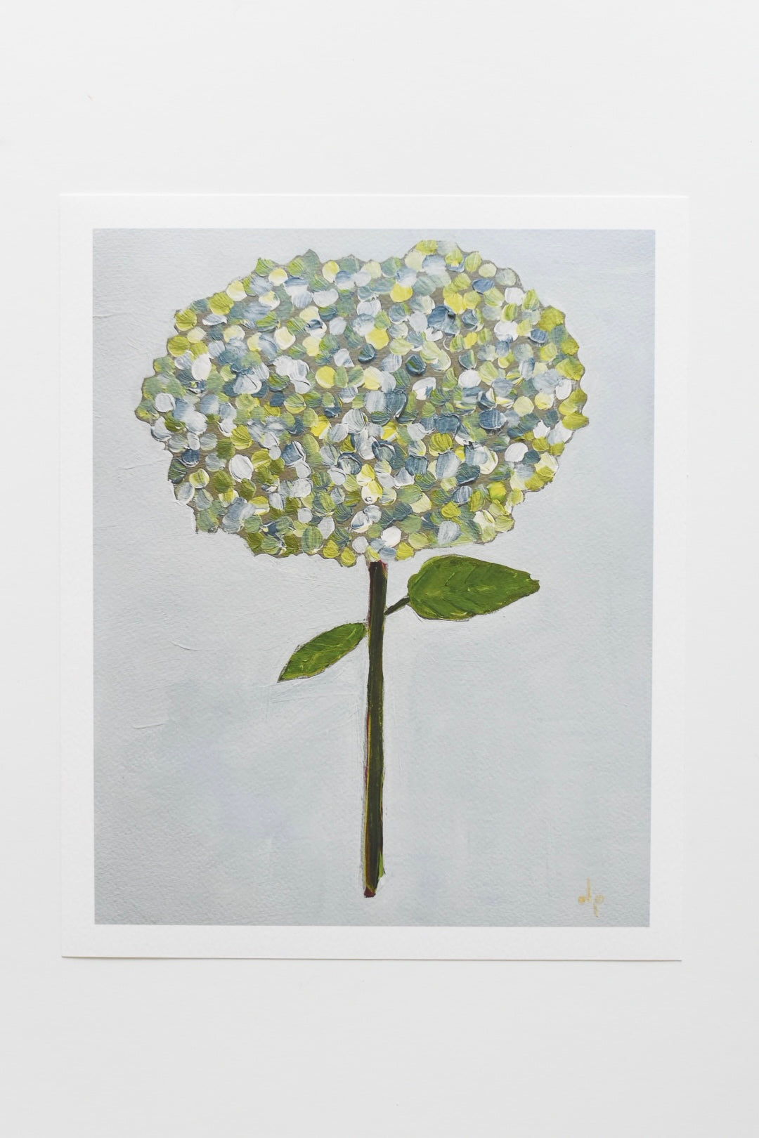 Hydrangea Stem One (10x8 Print)