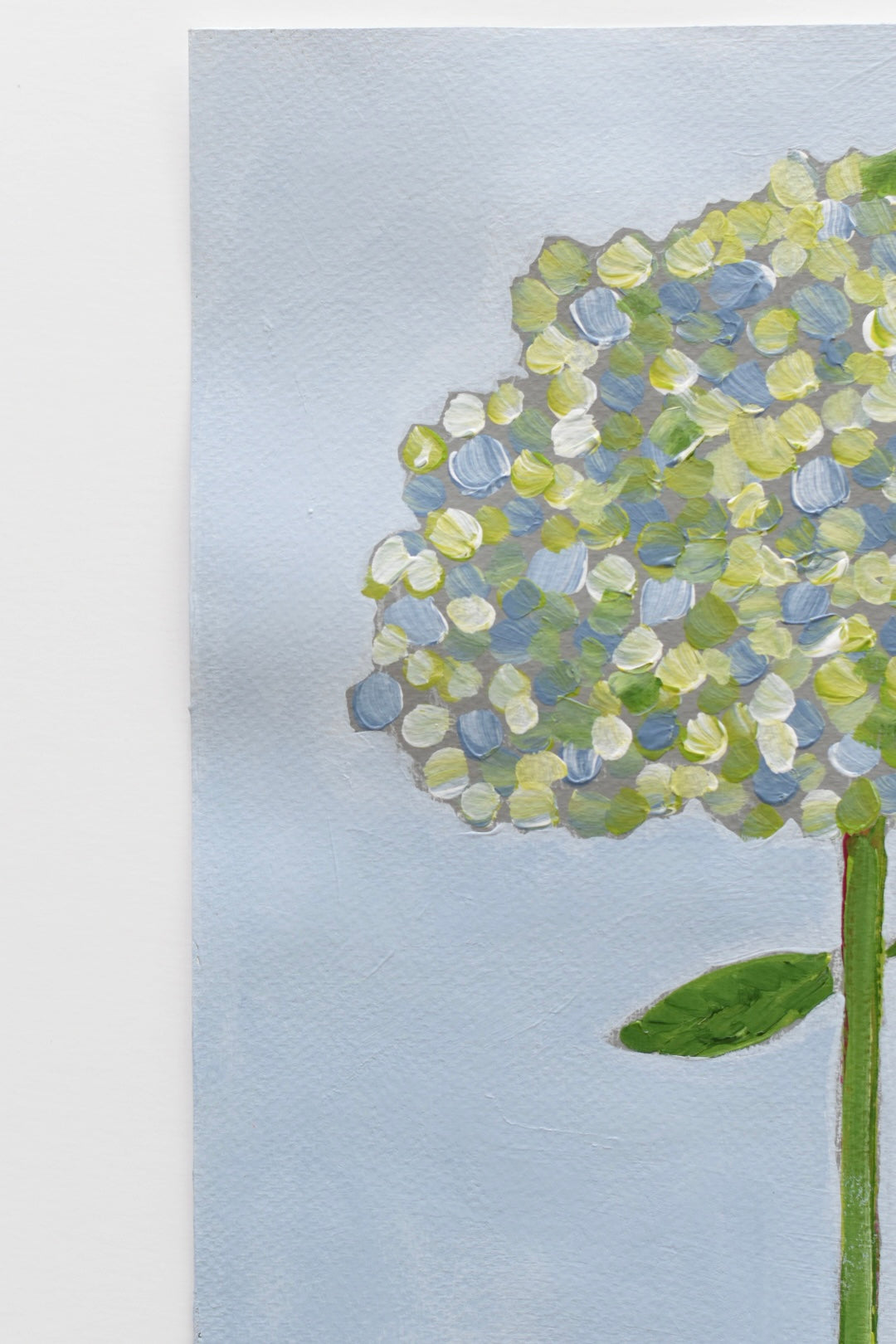 Hydrangea Petal Party 14x11