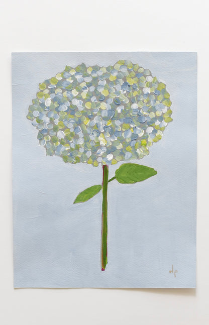 Hydrangea Stem One