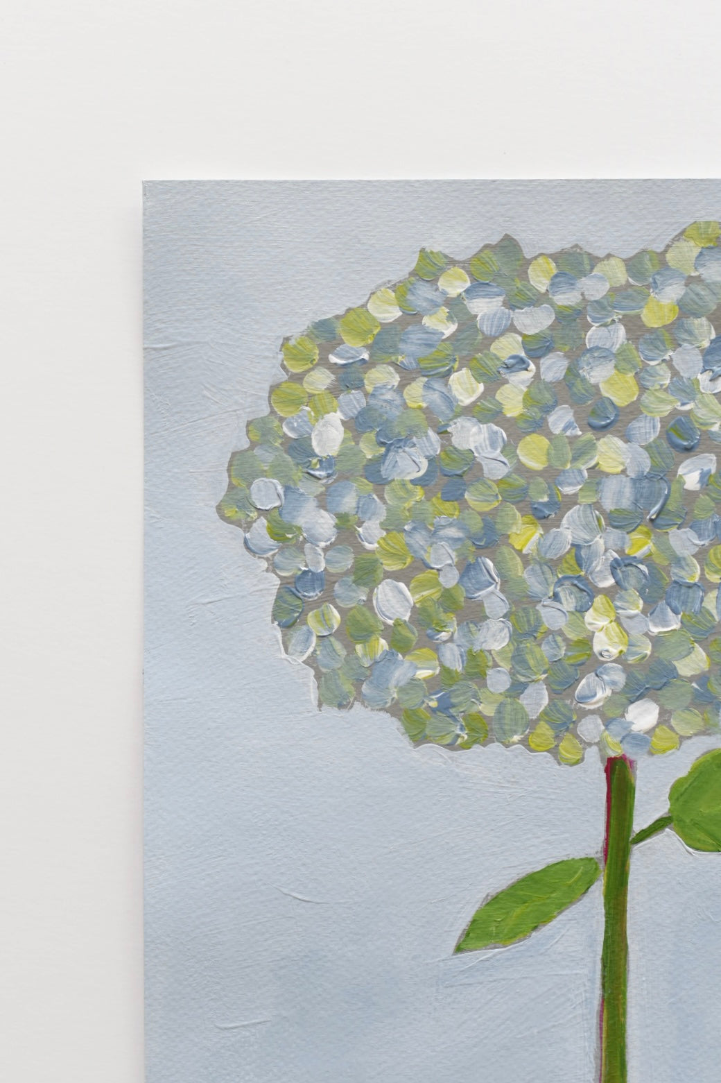 Hydrangea Stem One