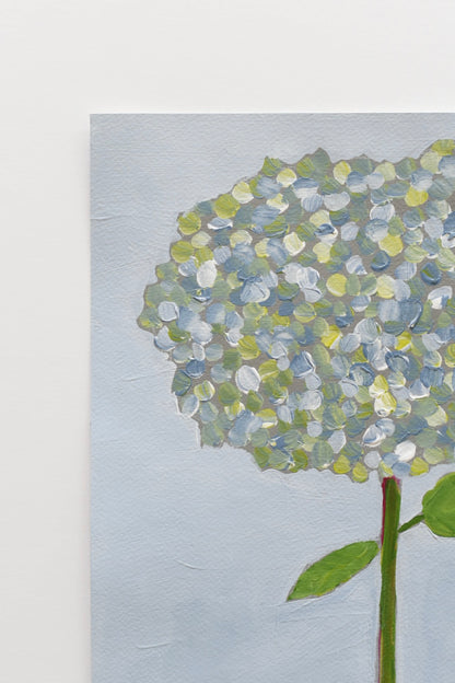 Hydrangea Stem One