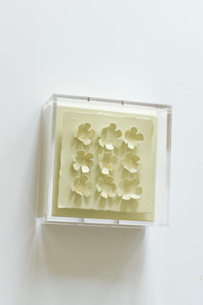 Lemon Grass 6x6