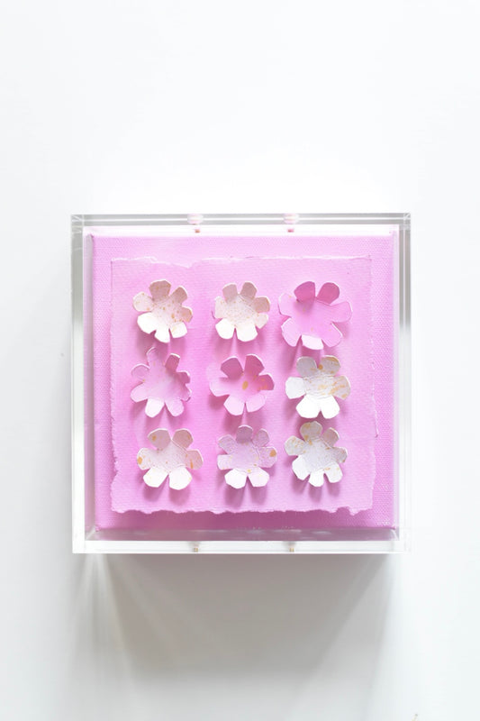 Peonies Box 6x6