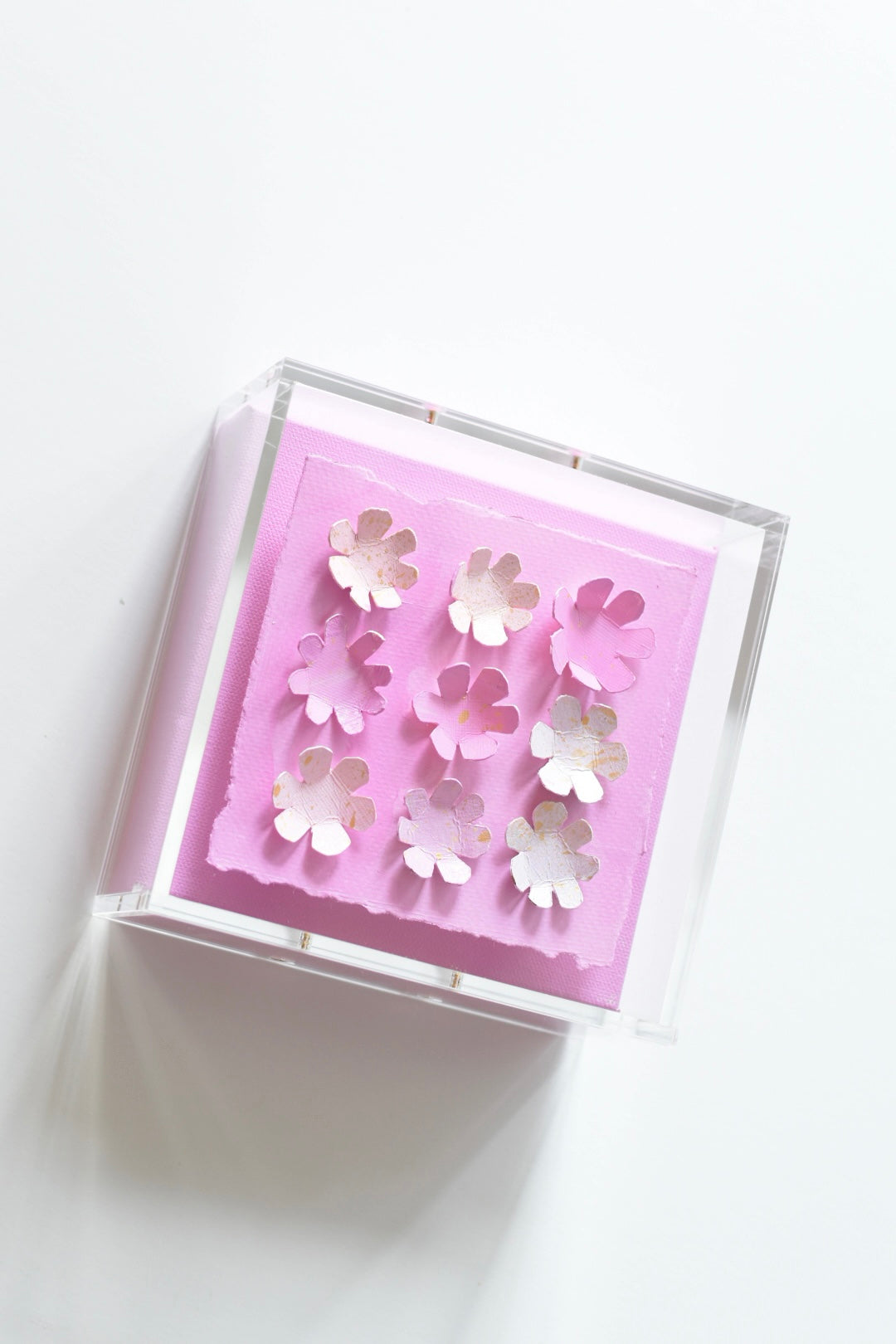 Peonies Box 6x6